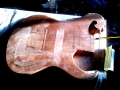 Guitar_(13).jpg