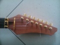 Guitar_(31).jpg