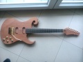 Guitar_(32).jpg