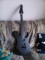 Guitar_(41).jpg