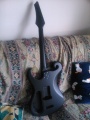 Guitar_(42).jpg