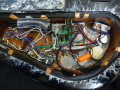 Guitar_(47).jpg